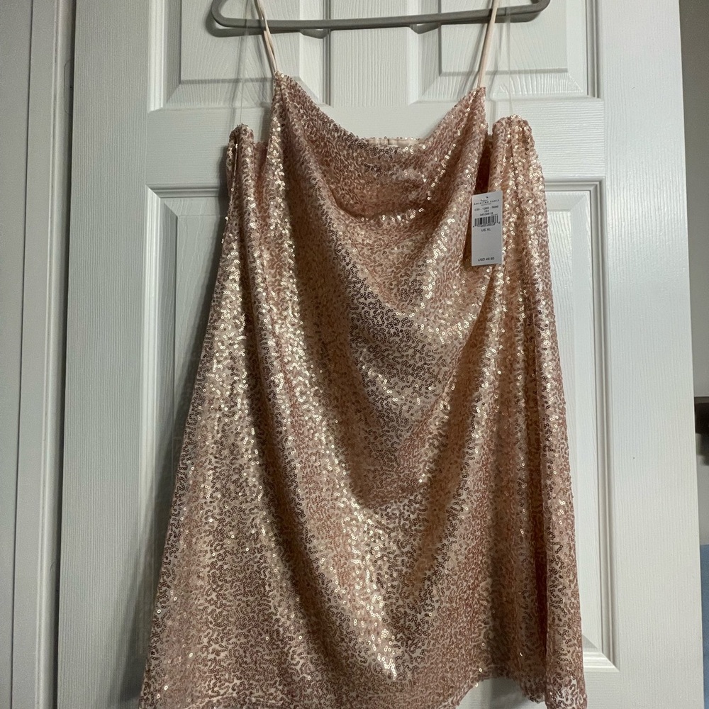 American Eagle Rose Sequin Dress
